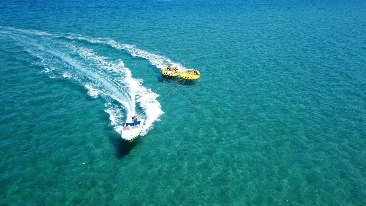 Palmiye