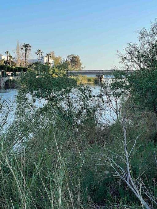 Riverside Apartment
