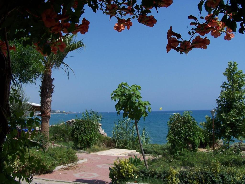 Guven Alanya