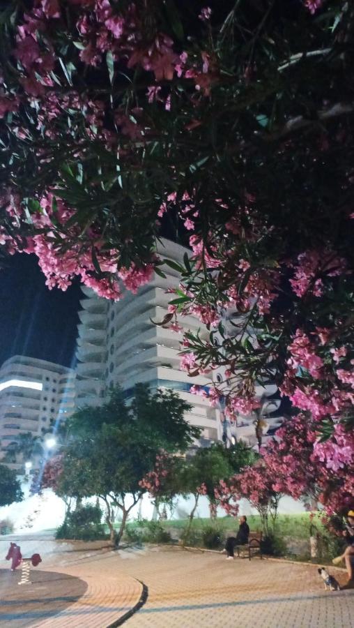 My Marine Lux Sea View Appartement Alanya