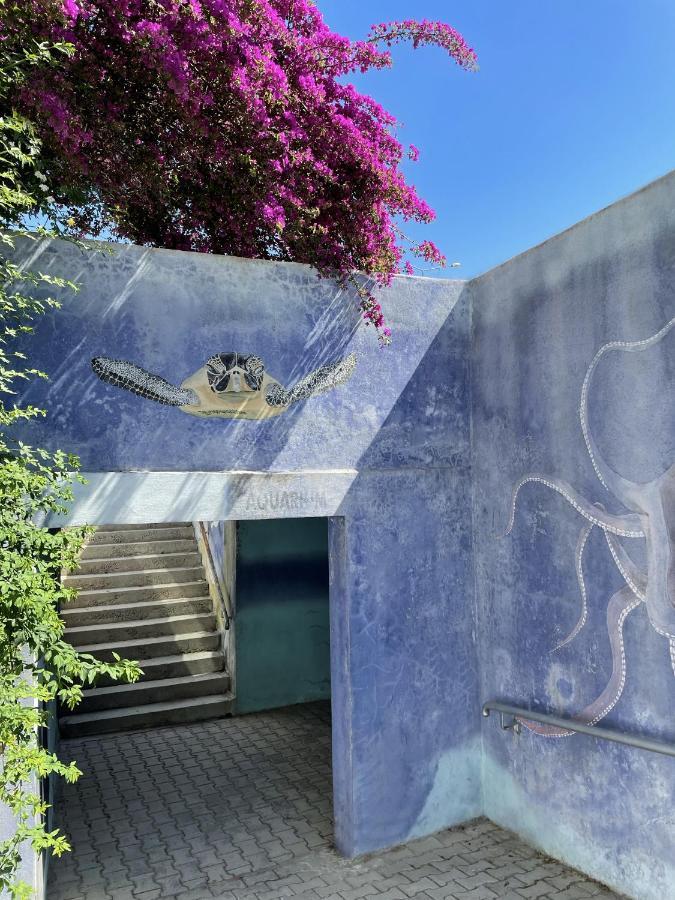Appartement Sa Apartments! 300m To The