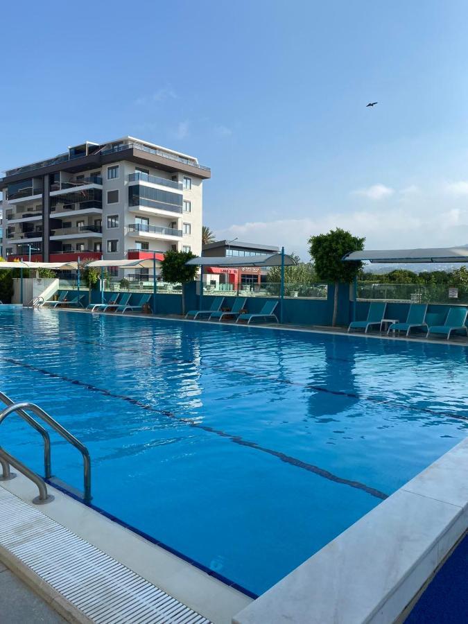Holiday Apartment