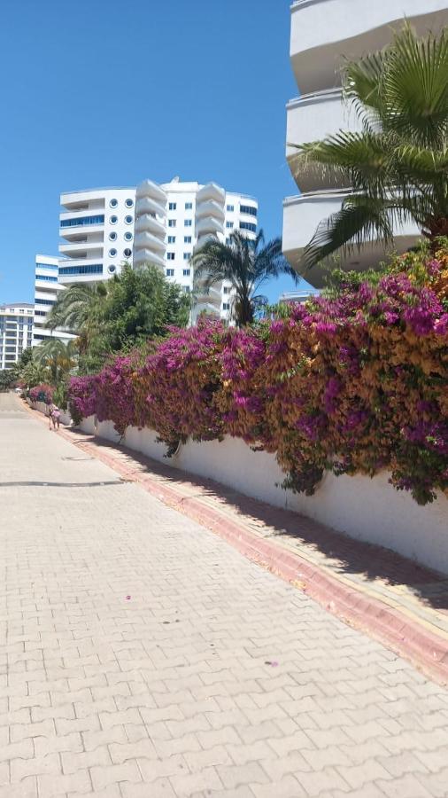 My Marine Lux Sea View *