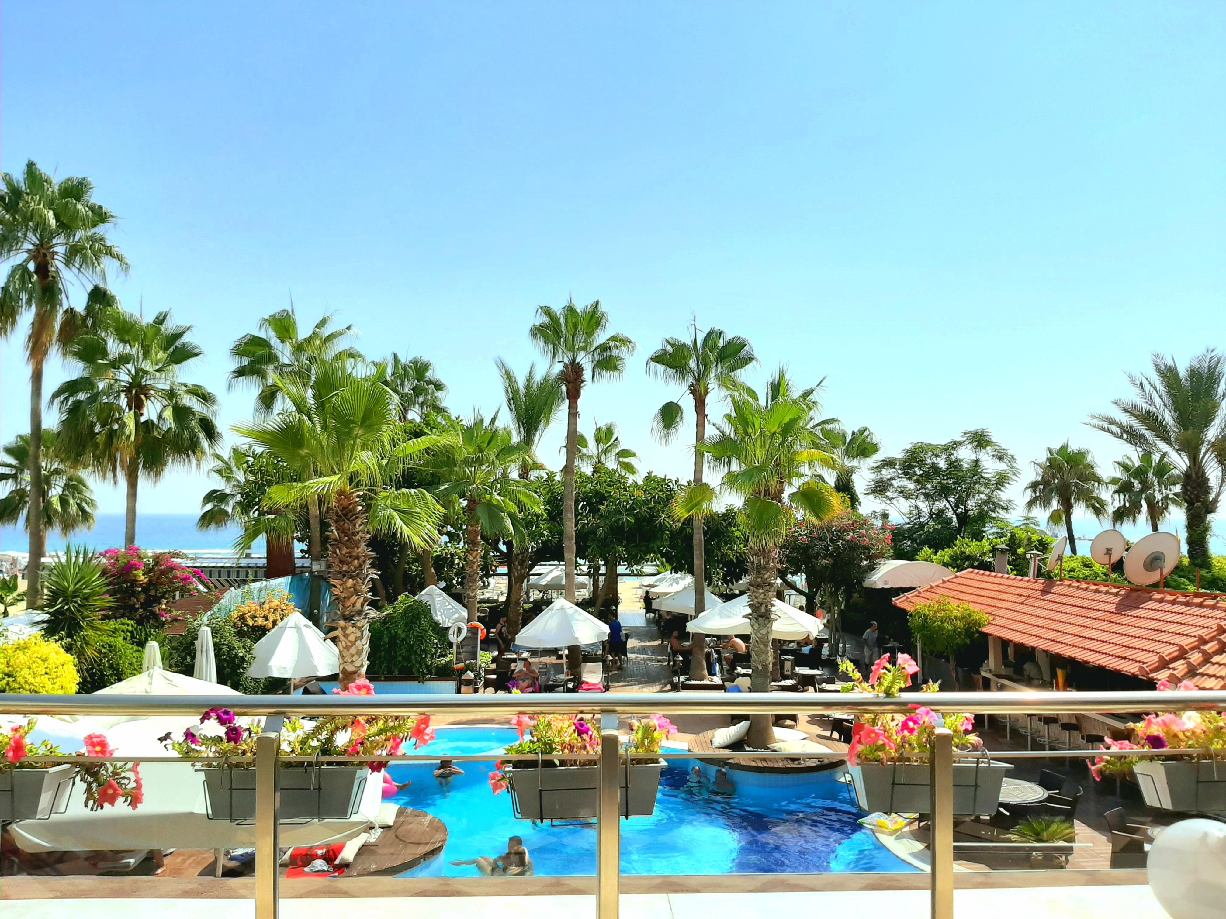 Savk Alanya