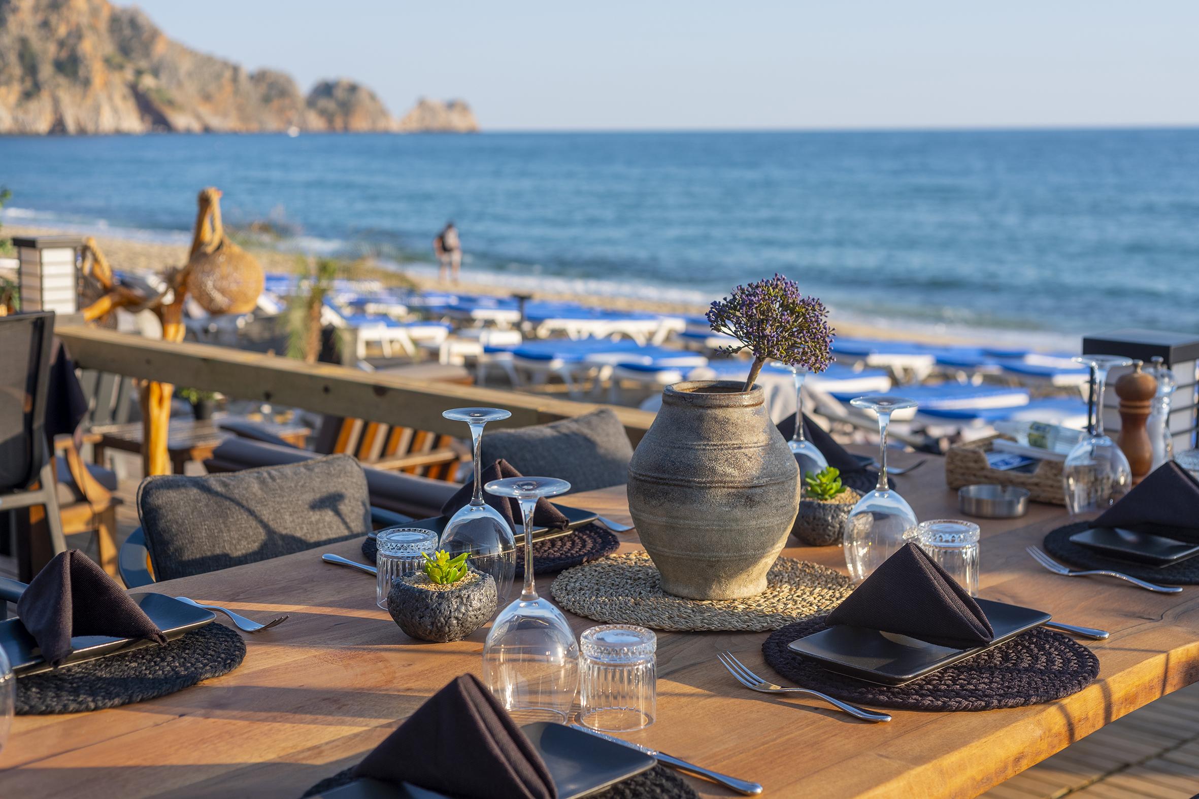 Palmiye Alanya