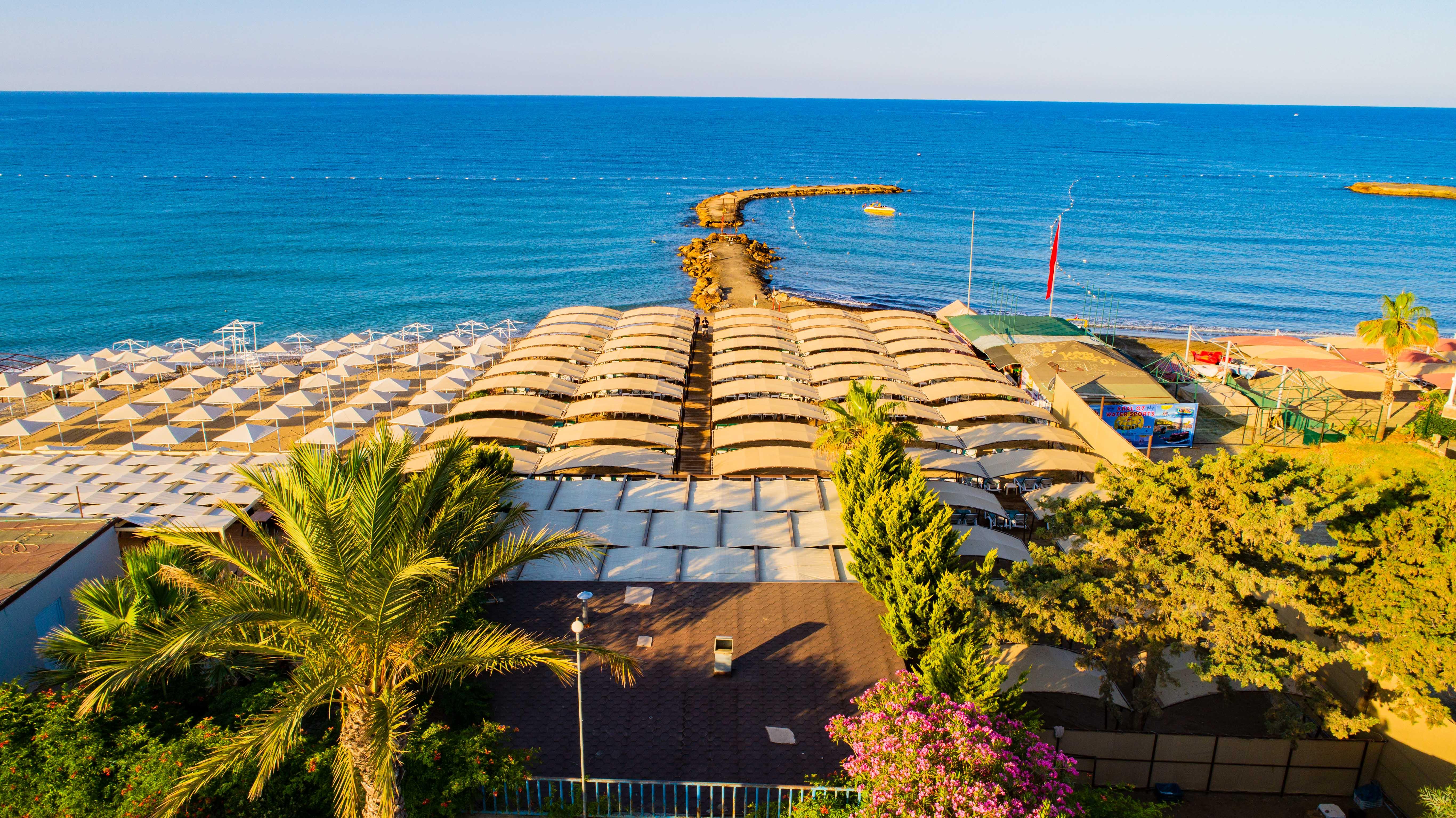 Senza The & Alanya