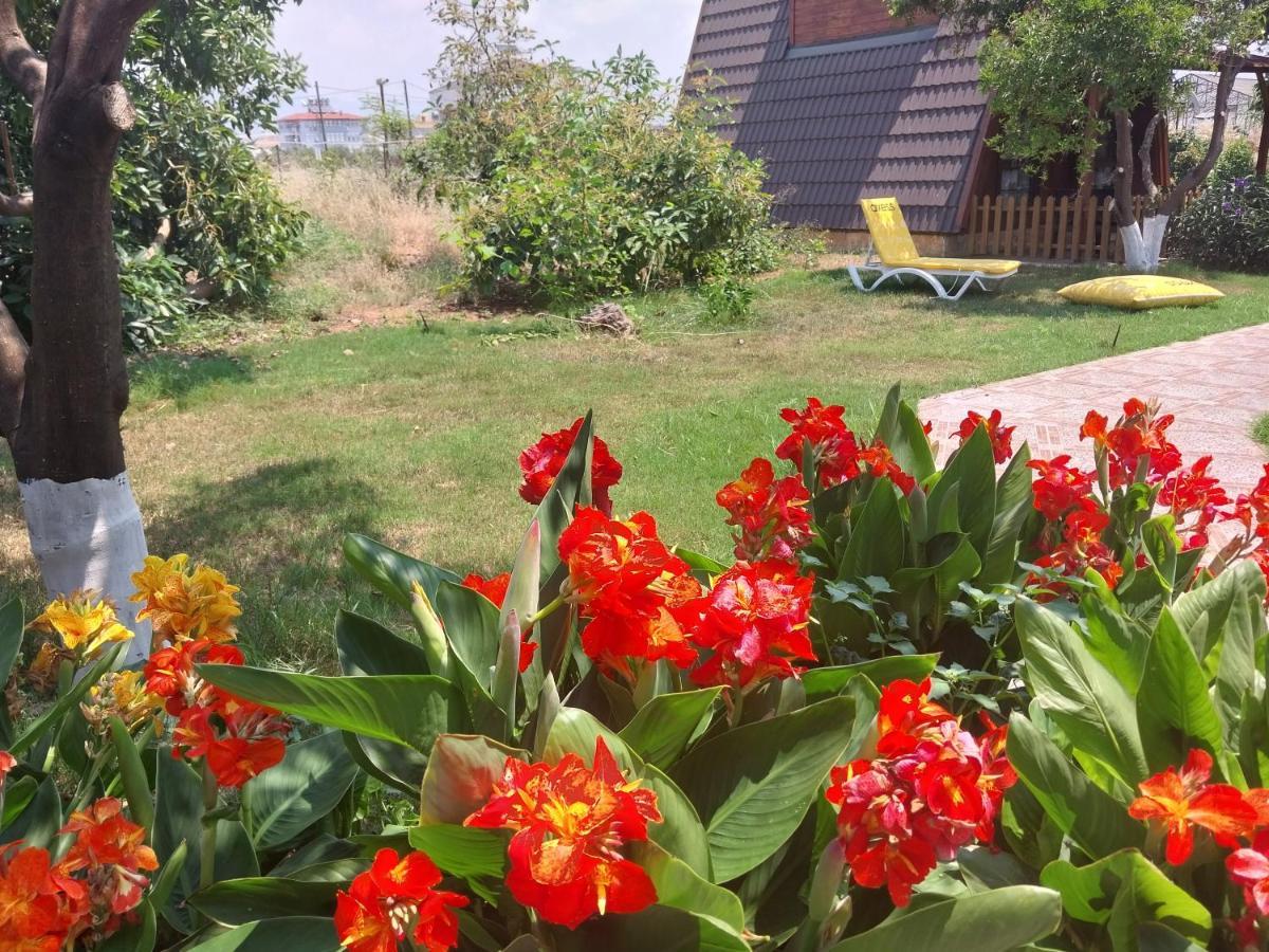 Bed & Breakfast Miss Mandarin Bungalow Evleri *