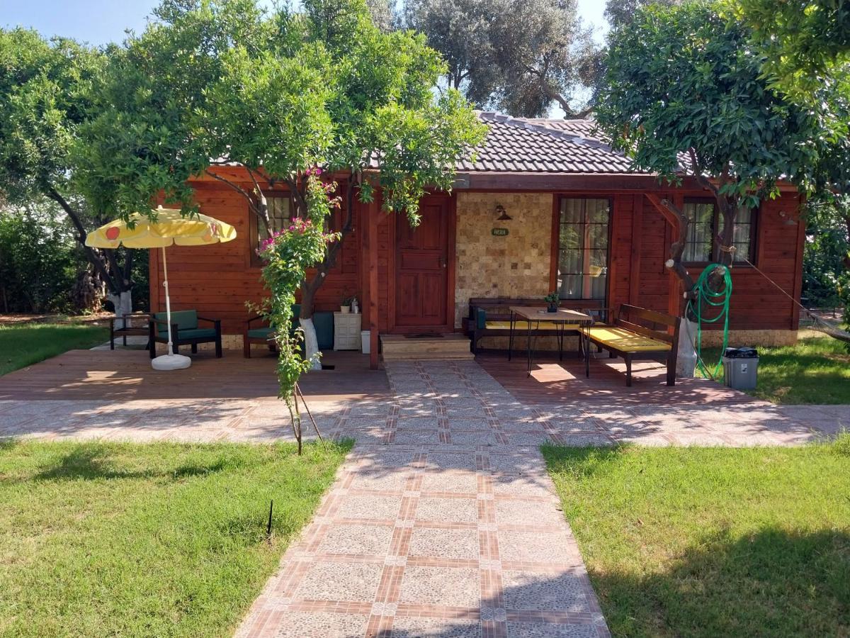 Miss Mandarin Bungalow Evleri Bed & Breakfast *