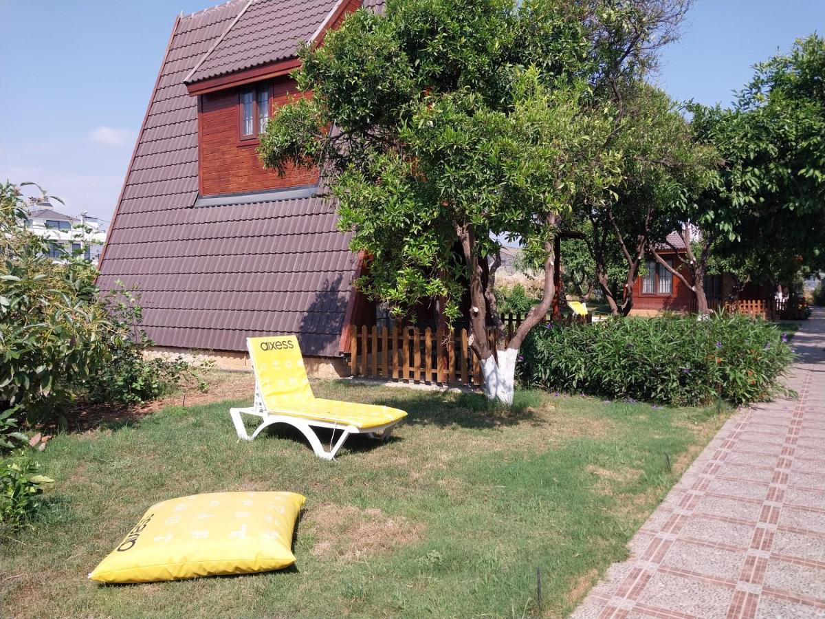 Miss Mandarin Bungalow Evleri Bed & Breakfast *