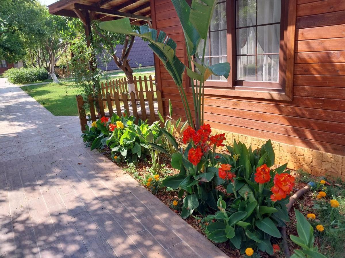 Miss Mandarin Bungalow Evleri Bed & Breakfast *