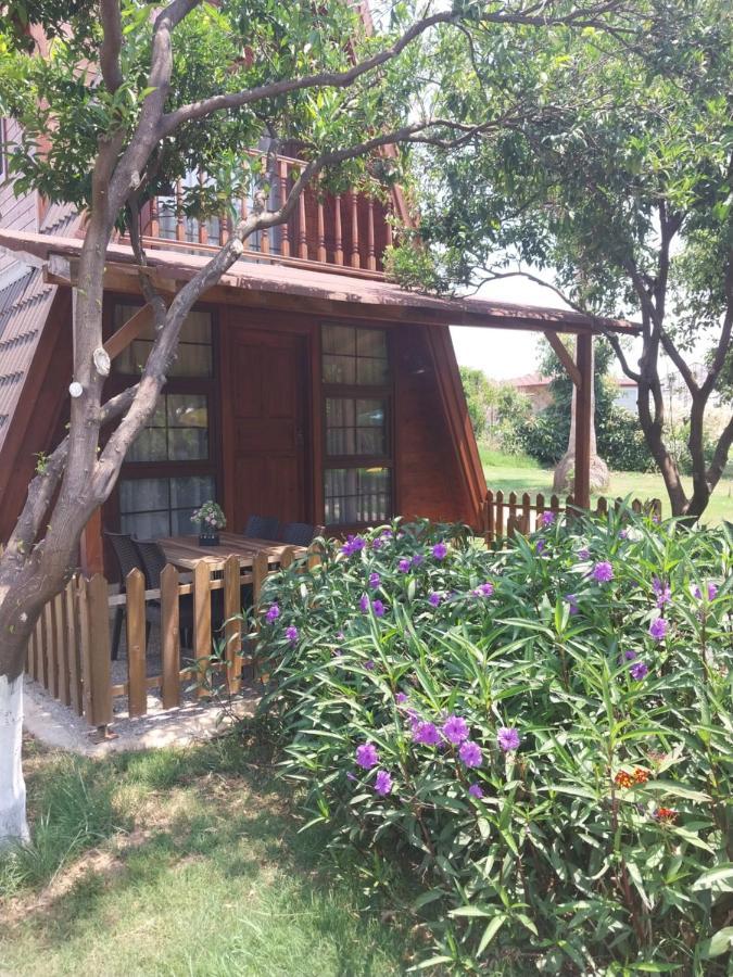 Miss Mandarin Bungalow Evleri Bed & Breakfast *