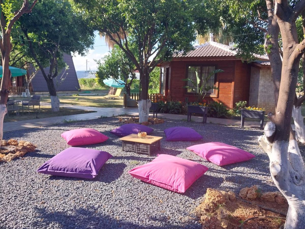 Bed & Breakfast Miss Mandarin Bungalow Evleri *