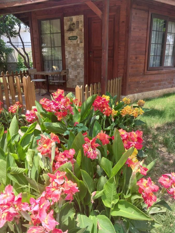 Miss Mandarin Bungalow Evleri Bed & Breakfast *