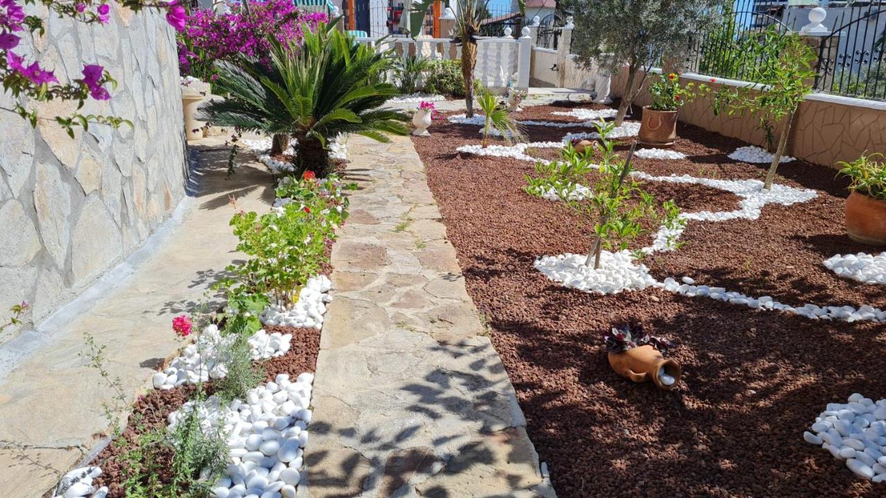 Camelia Alanya