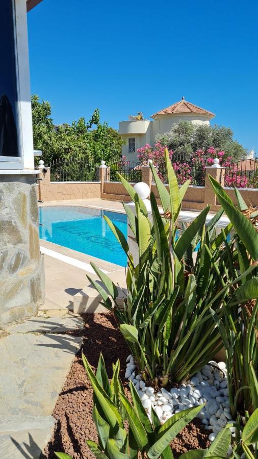 Camelia Bed & Breakfast *