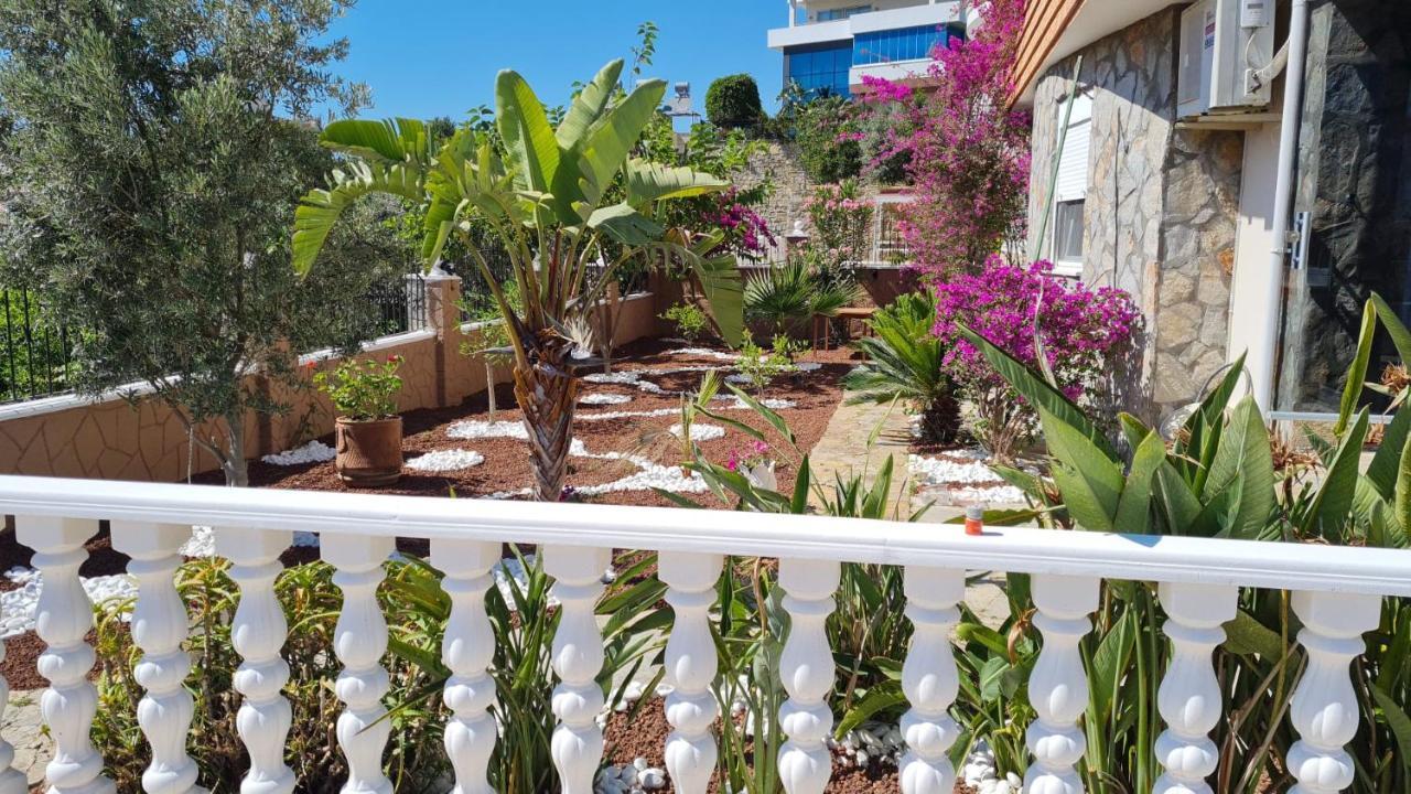 Camelia Bed & Breakfast *