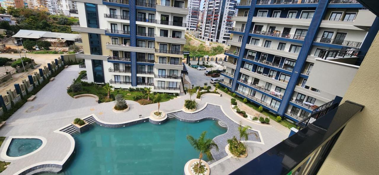 Adelion Albimo Loft