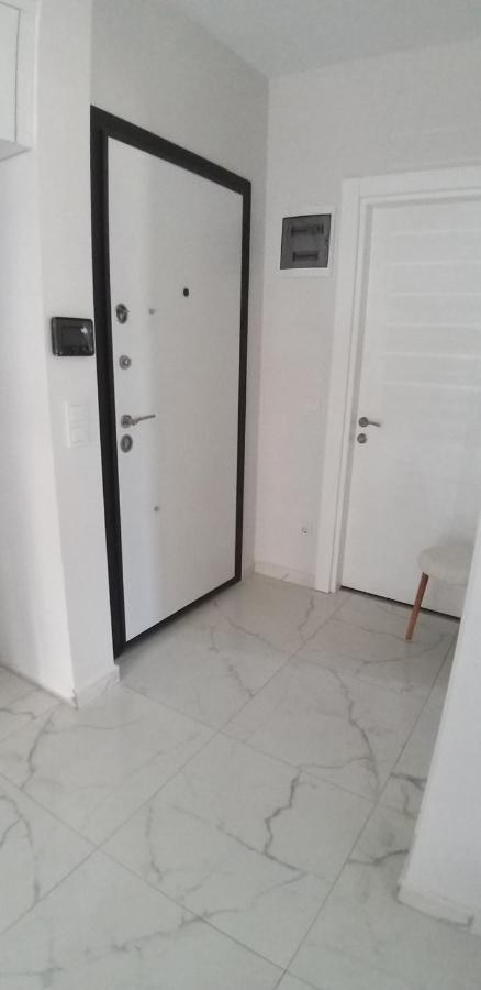 Appartement Carmel Sun