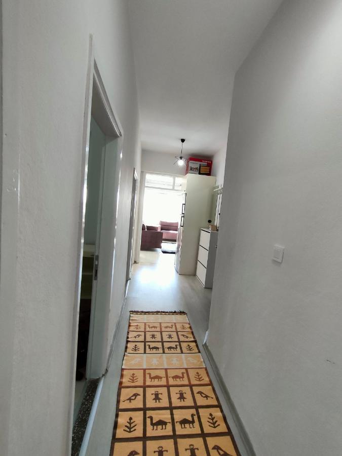 The Life House