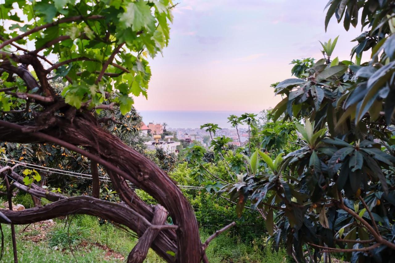 Villa Luxury Villas &