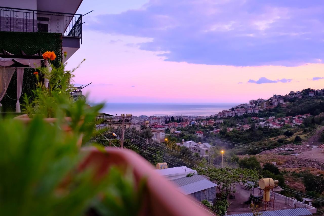 Luxury Villas & Alanya
