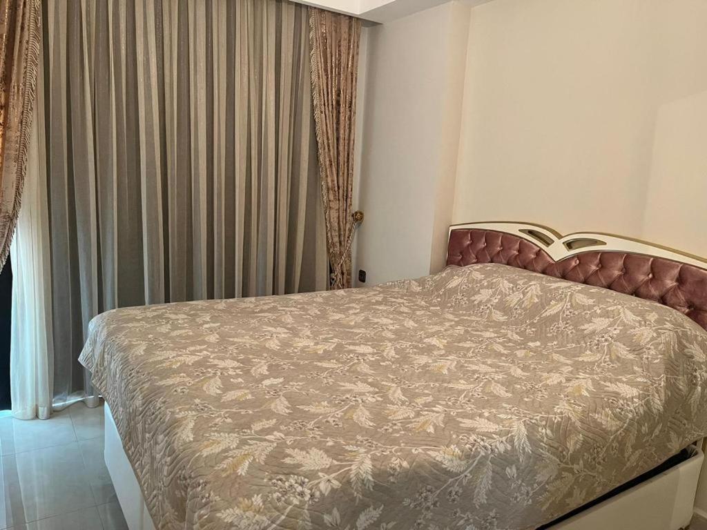 Kurt Safir Euro 20
