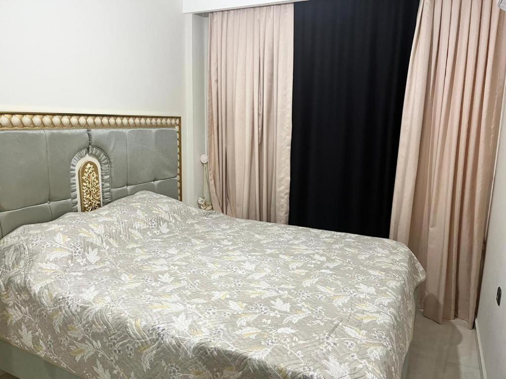 Kurt Safir Euro 20