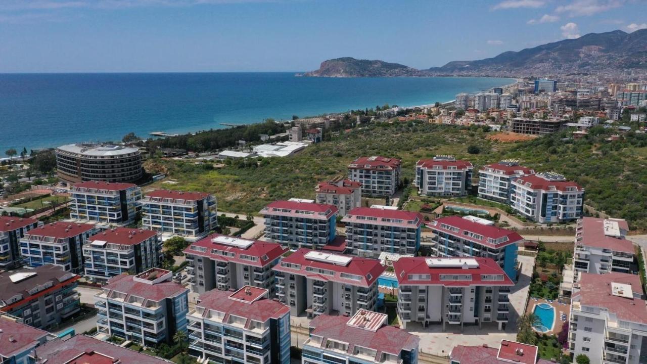 Calypso Luxurious Beachside In D6 Apartment