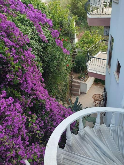 Appartement On The Historic Castle Hill