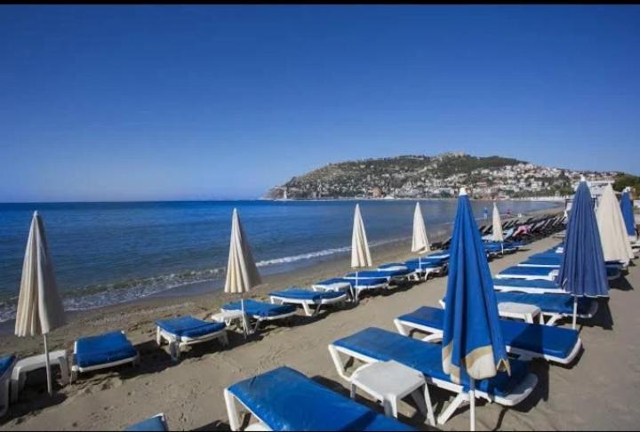 My Boutique * Alanya