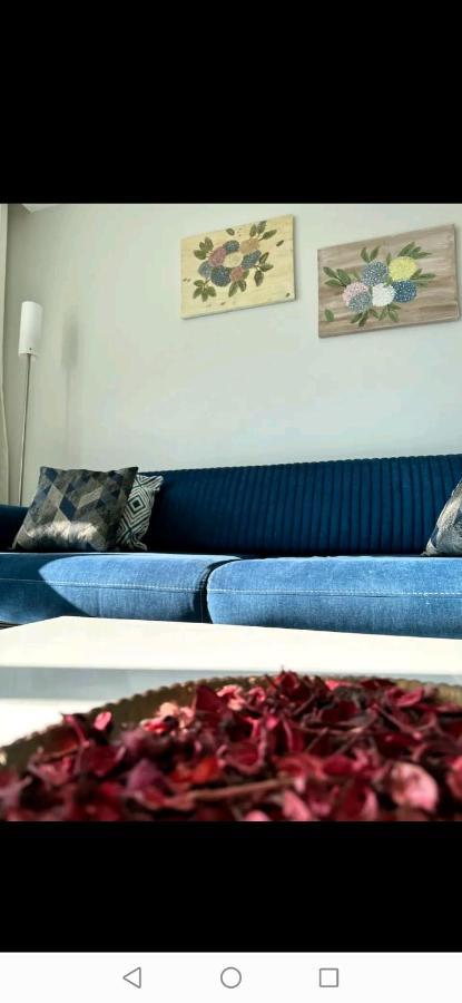 Arcadia Homes Avsallar *