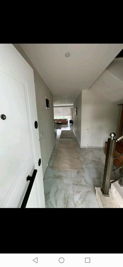 Arcadia Homes Avsallar Daire