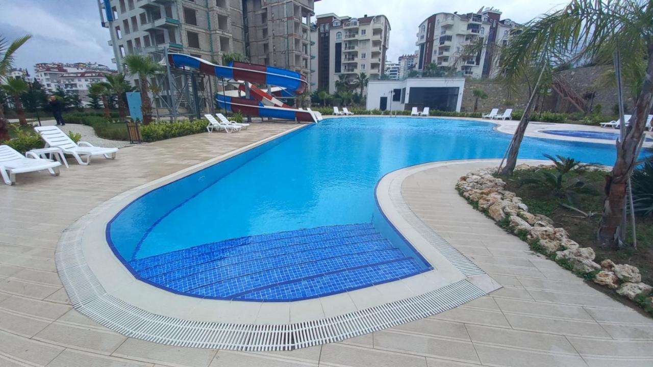 Daire Arcadia Homes Avsallar *