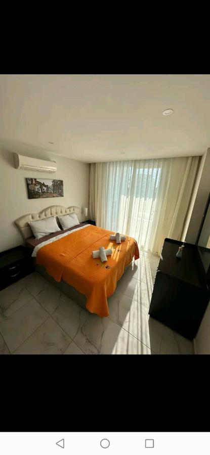 Daire Arcadia Homes Avsallar *