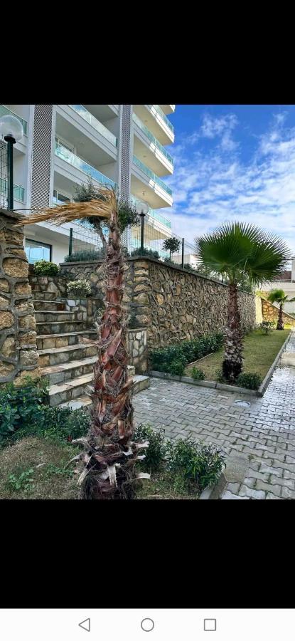 Arcadia Homes Avsallar Daire