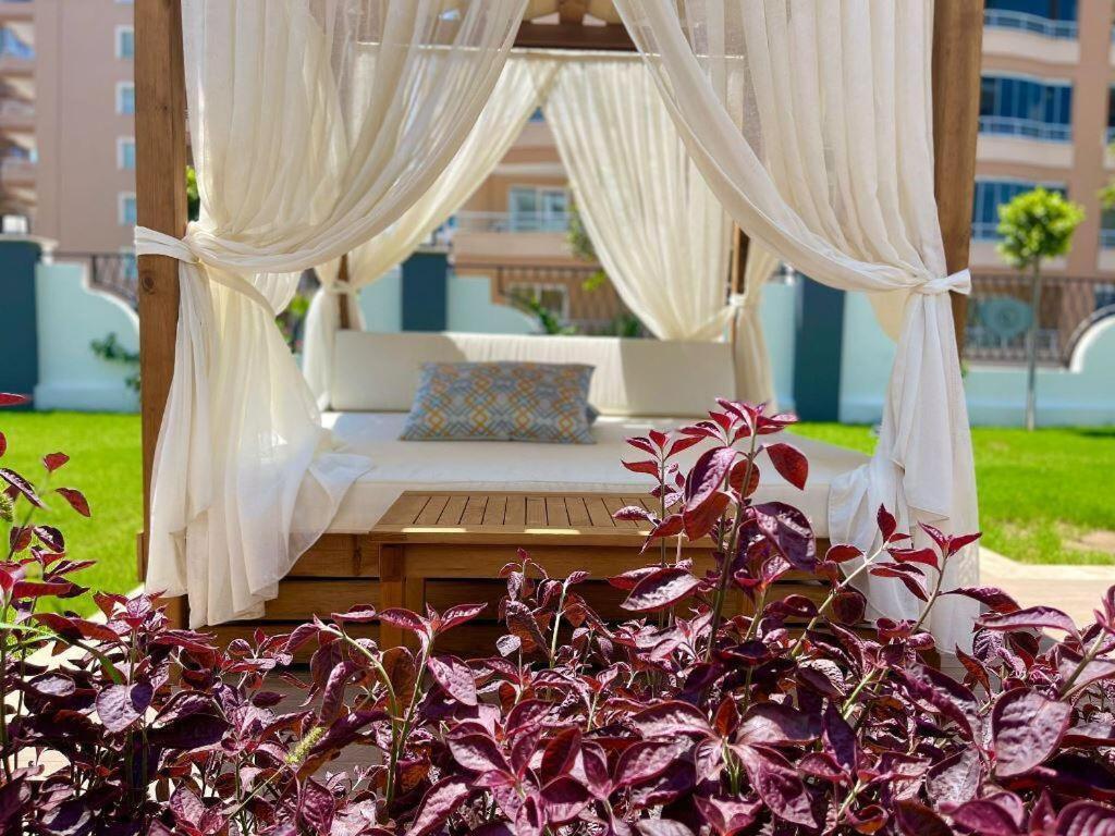 فاخرة Serenity Daire