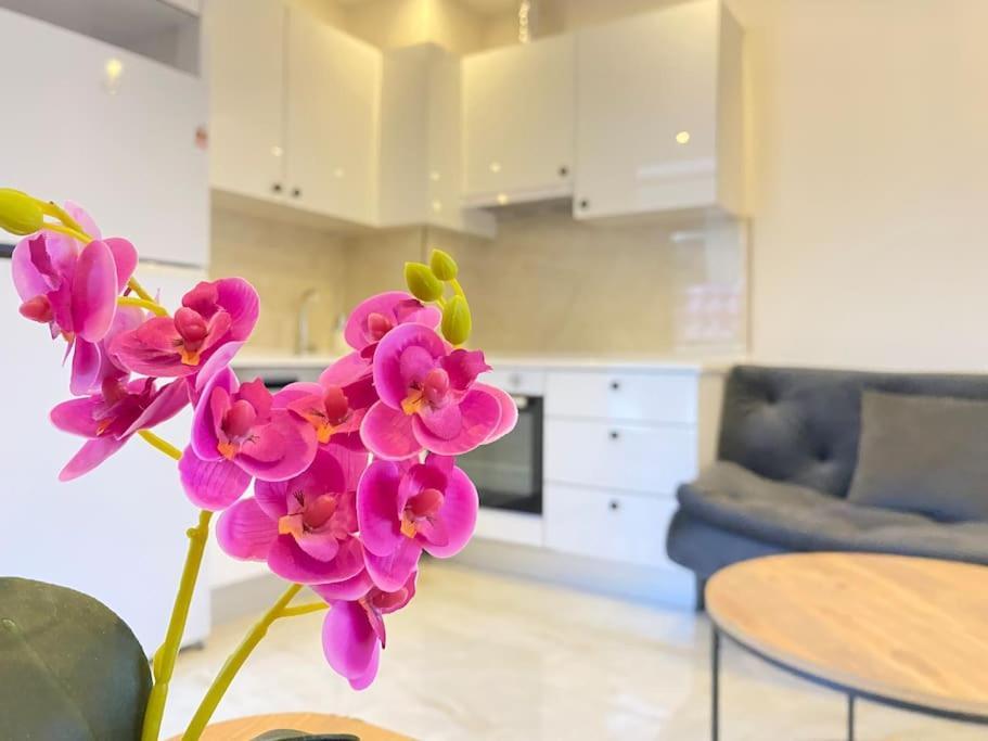 Apartment Rose 7