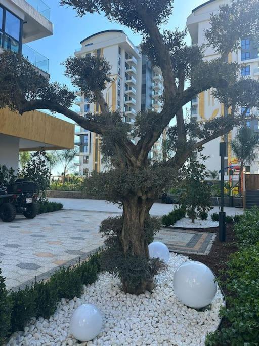 Cebeci Towers Apartment *