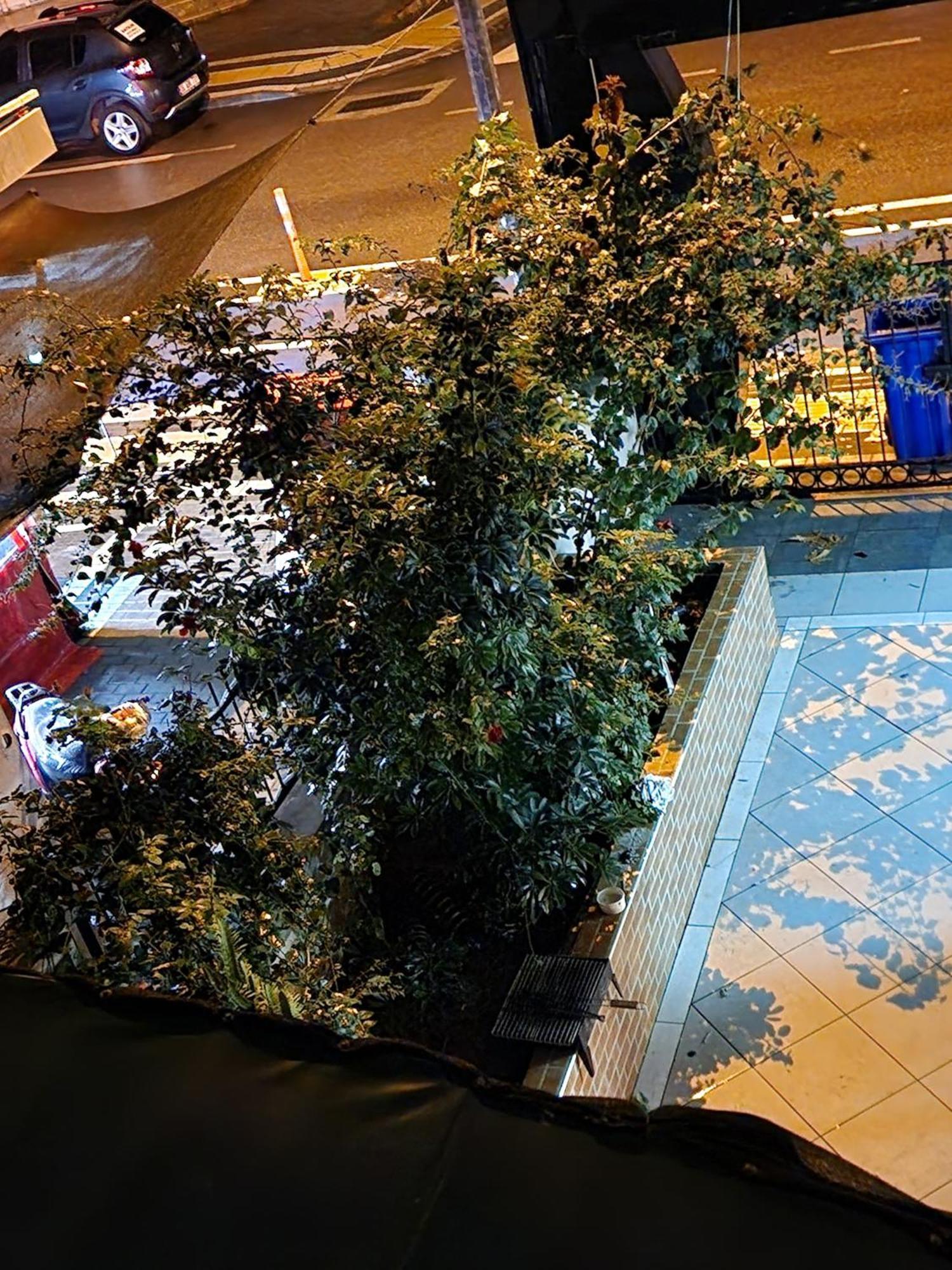 Hotel Cleopatra Alanya