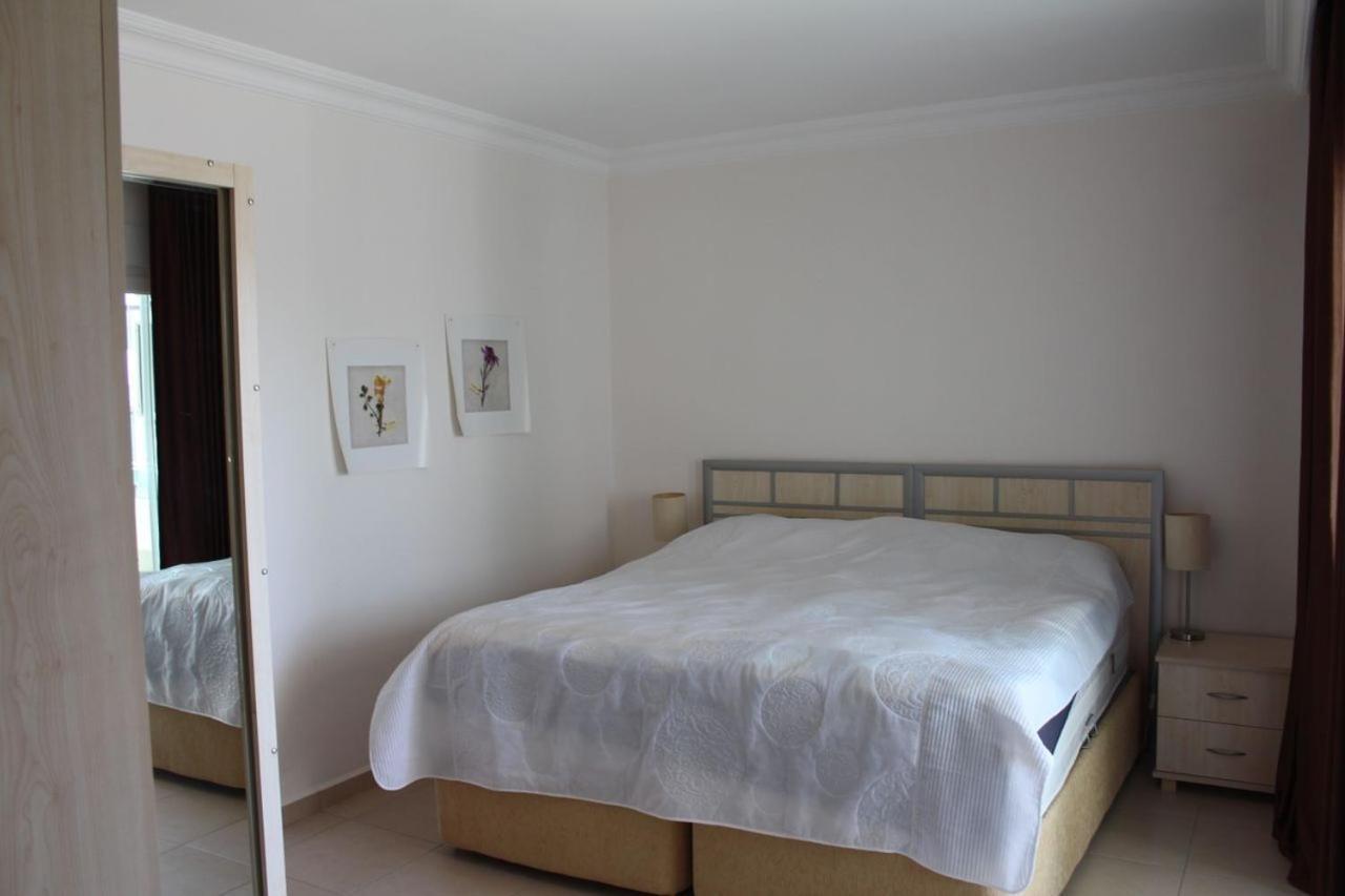 Olive Apartment