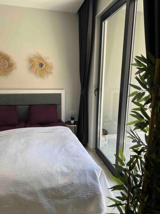 Apartment Jasmin 3 Alanya