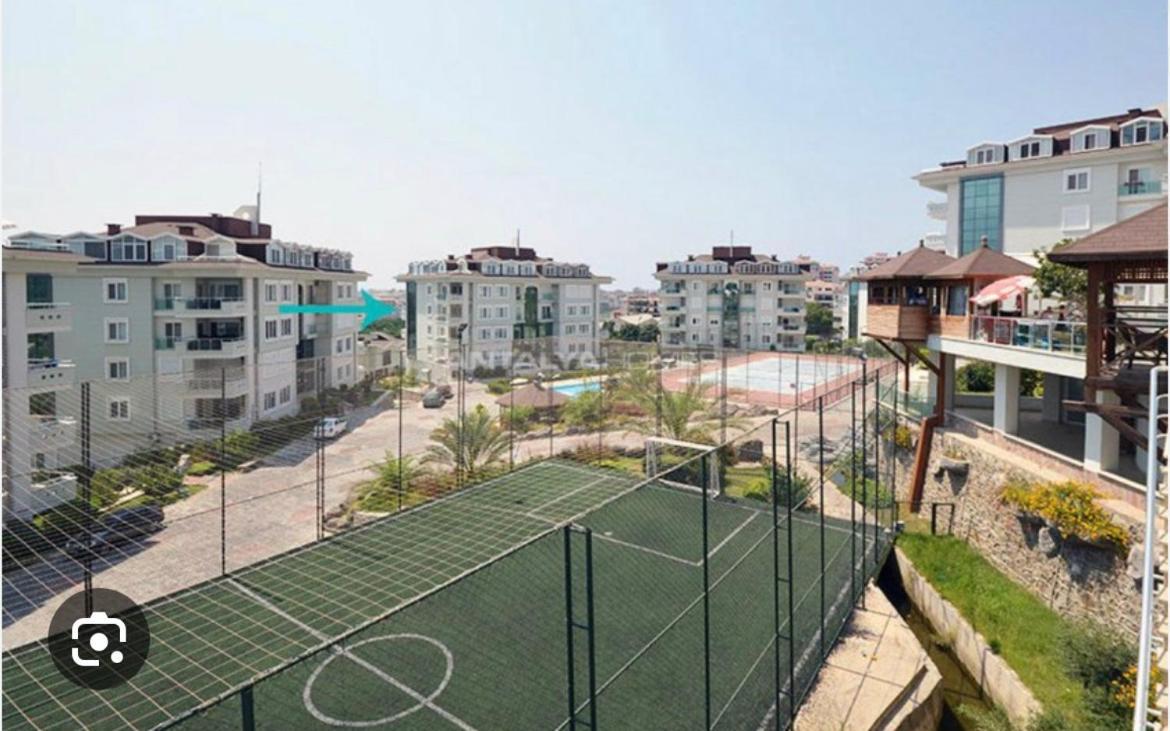 Olive Apartment *