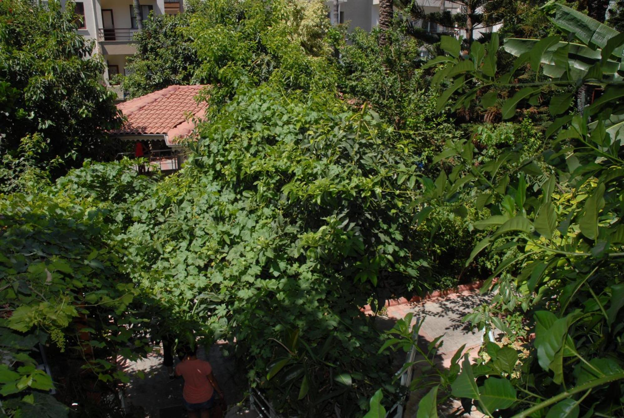 Hotel Merhaba Alanya