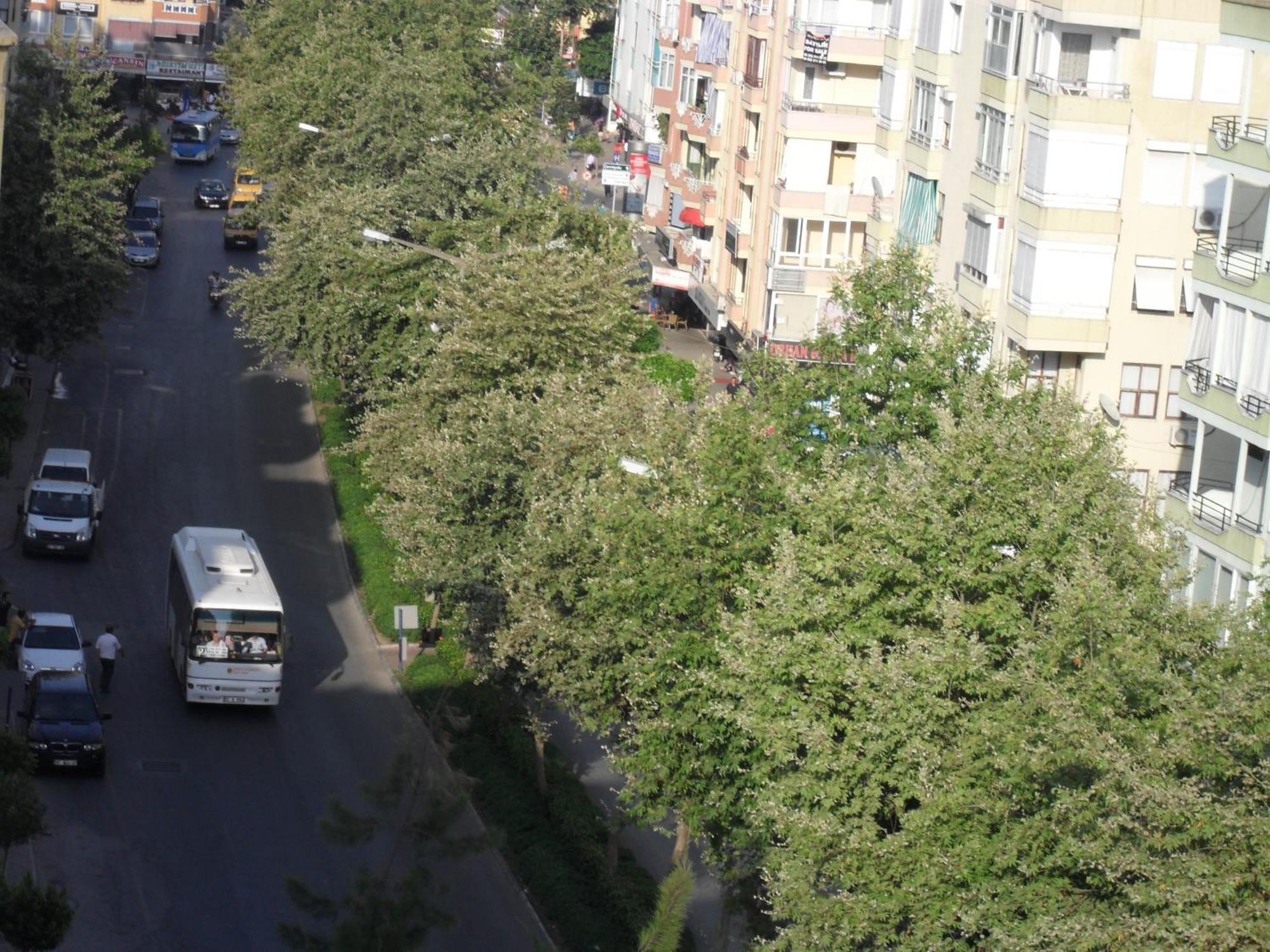 Hotel Yildirimoglu 2*