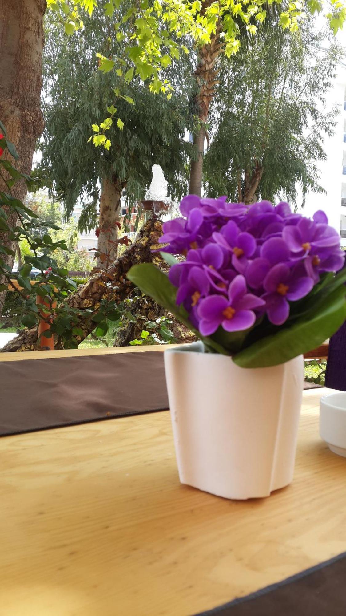 Lejlighedshotel Palmen