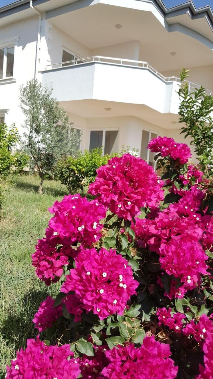 Begon Villa Alanya