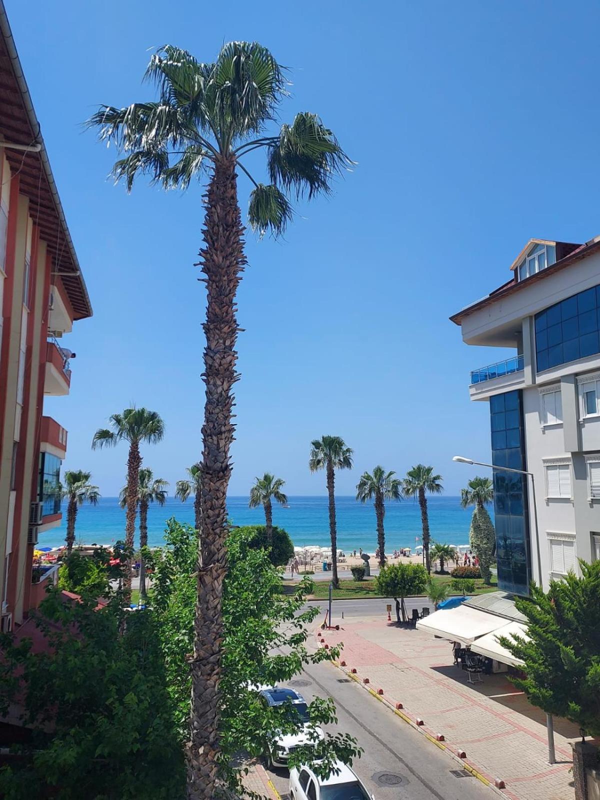 Kleopatra Sahara 3*
