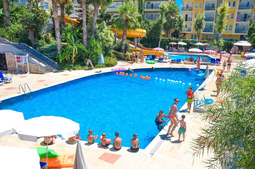 Ark And Alanya