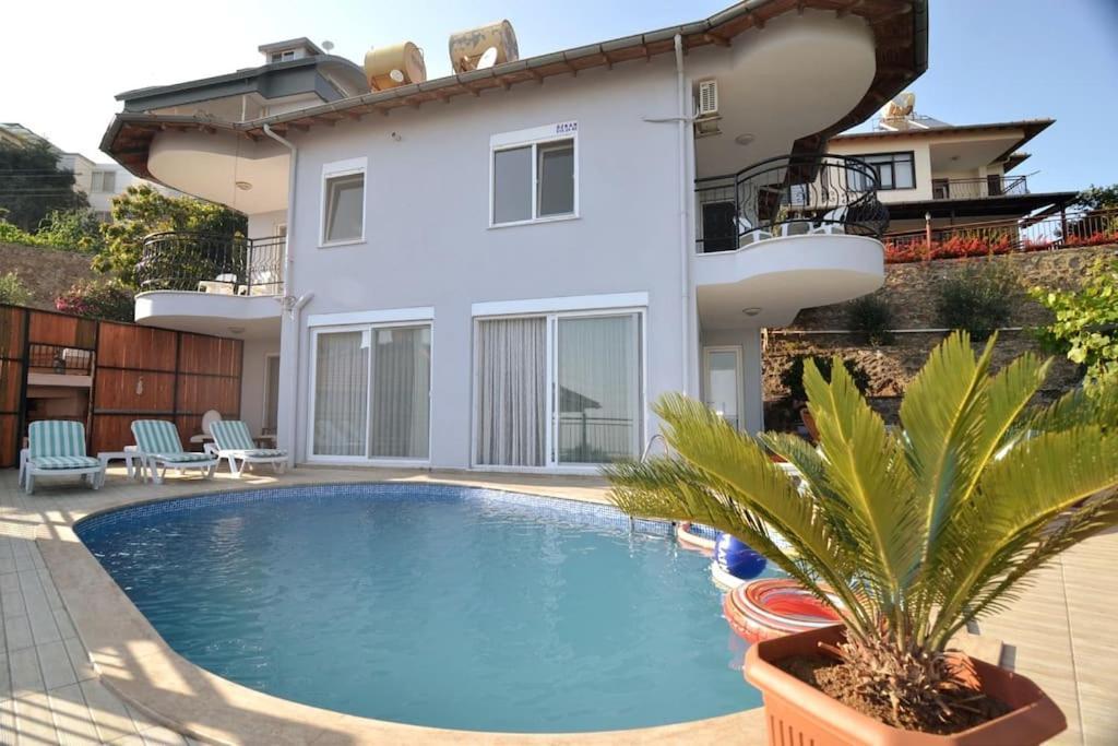 Halit Alanya