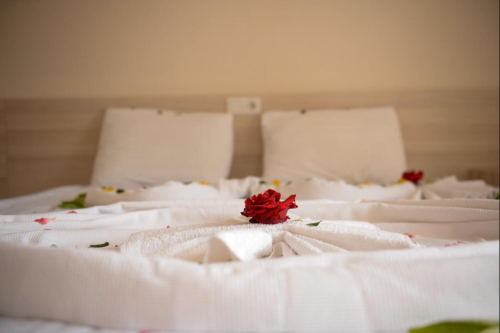 Hotel Ant Butik 3*